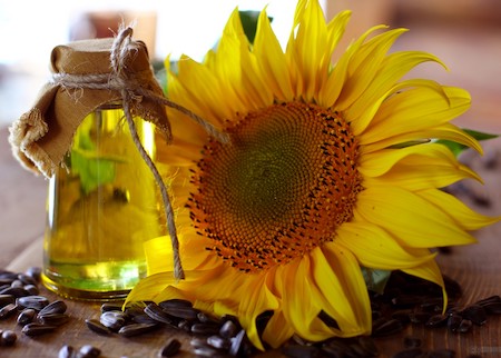 Is Sunflower Seed Oil Effective