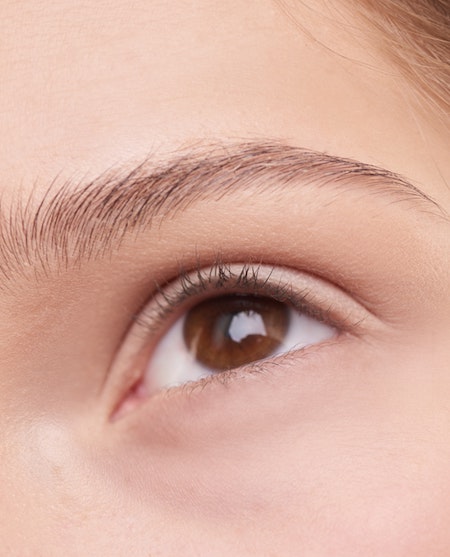 Why Are Oils Recommended For Conditioning Your Lashes?
