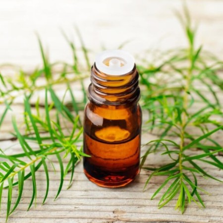 Tea tree oil benefits for face