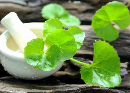 What does Centella asiatica do for your skin